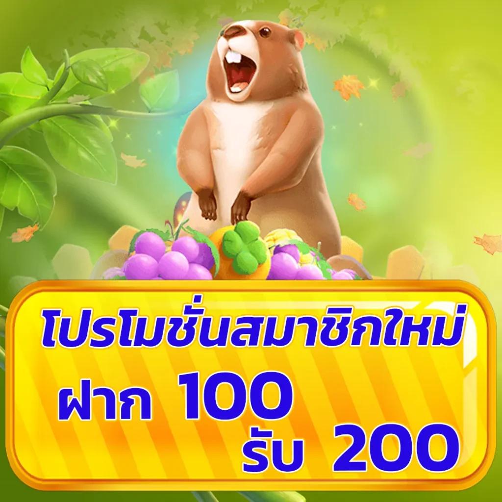 โปรฝาก5รับ100ถอนไม่อั้นวอเลท ใหม่ล่าสุด เล่นง่าย ทำเงินเร็ว